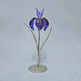 Damboa - Blue Violet 